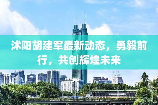 沭阳胡建军最新动态，勇毅前行，共创辉煌未来