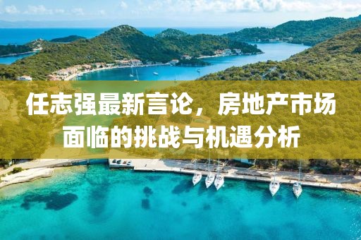 任志强最新言论，房地产市场面临的挑战与机遇分析