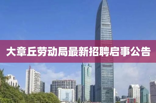 南泠柚子 第24页