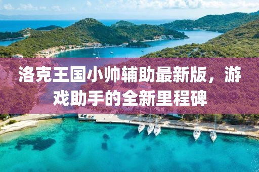 洛克王国小帅辅助最新版，游戏助手的全新里程碑