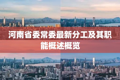 河南省委常委最新分工及其职能概述概览