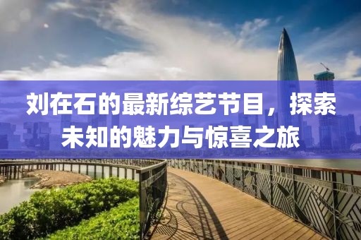 刘在石的最新综艺节目，探索未知的魅力与惊喜之旅