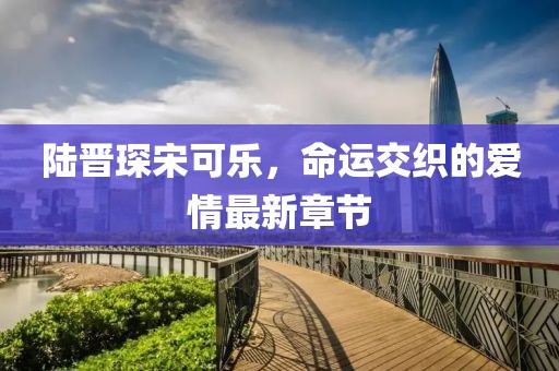 陆晋琛宋可乐，命运交织的爱情最新章节