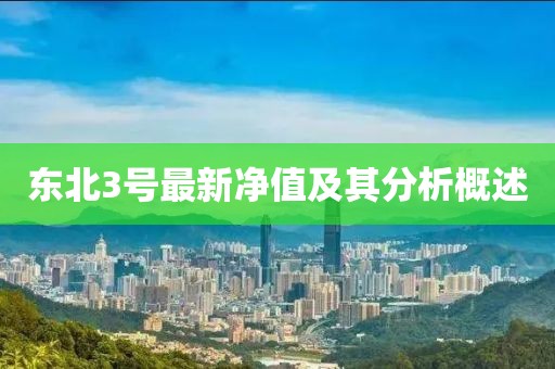 东北3号最新净值及其分析概述
