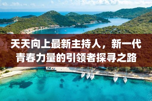 天天向上最新主持人，新一代青春力量的引领者探寻之路