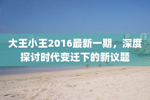 大王小王2016最新一期，深度探讨时代变迁下的新议题