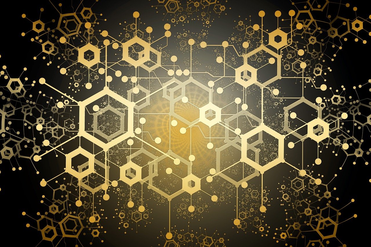 坦克连最新版，技术革新与战术升级重磅来袭