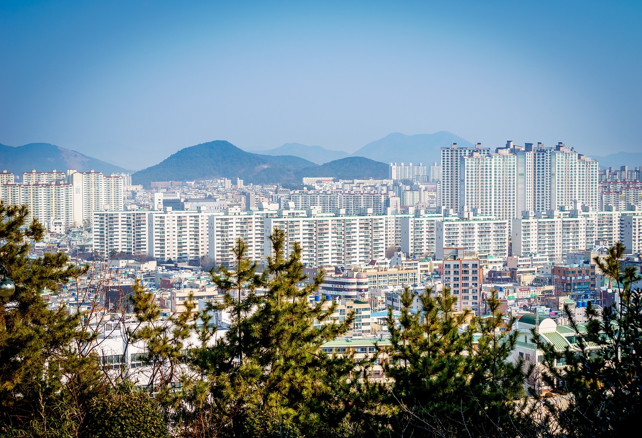 沈阳市区最新划分地图，揭示城市发展新篇章