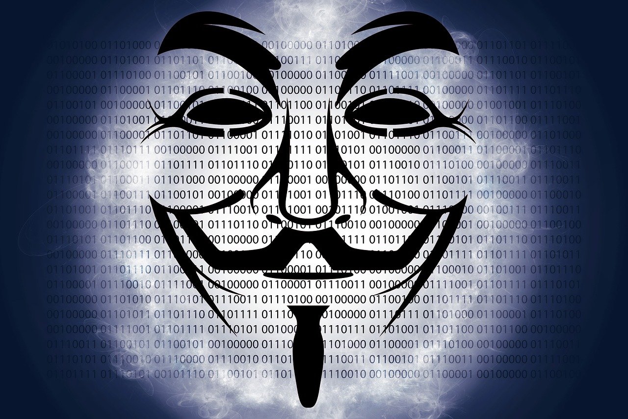 双湾锦园最新消息深度解析，最新动态与解读