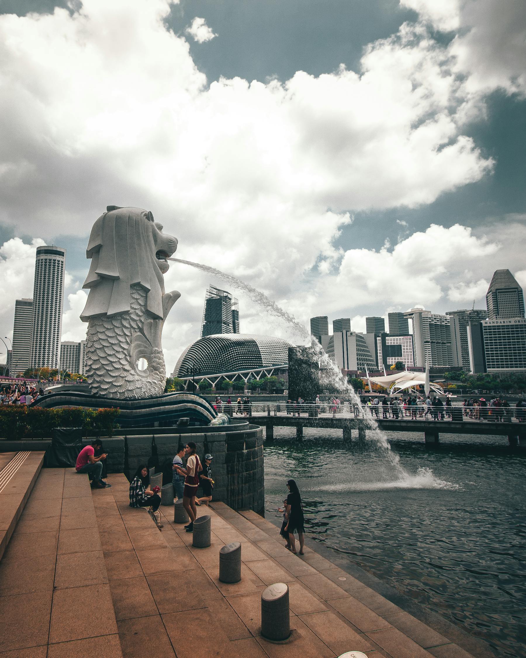 大港最新楼盘，现代都市生活的理想之选