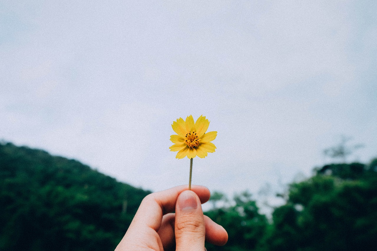 名门绿洲最新动态引领绿色生活新篇章