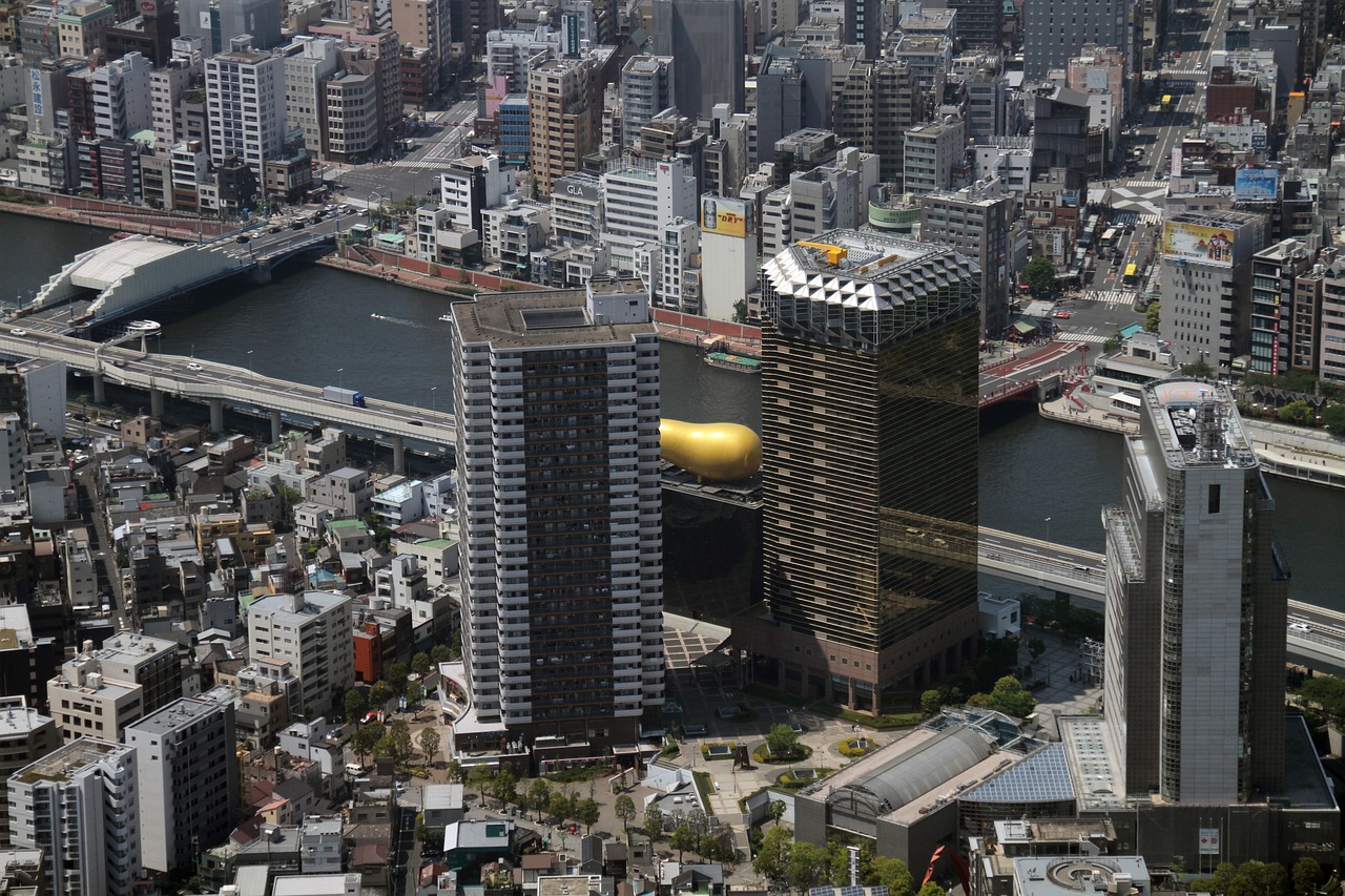 2024年12月 第191页