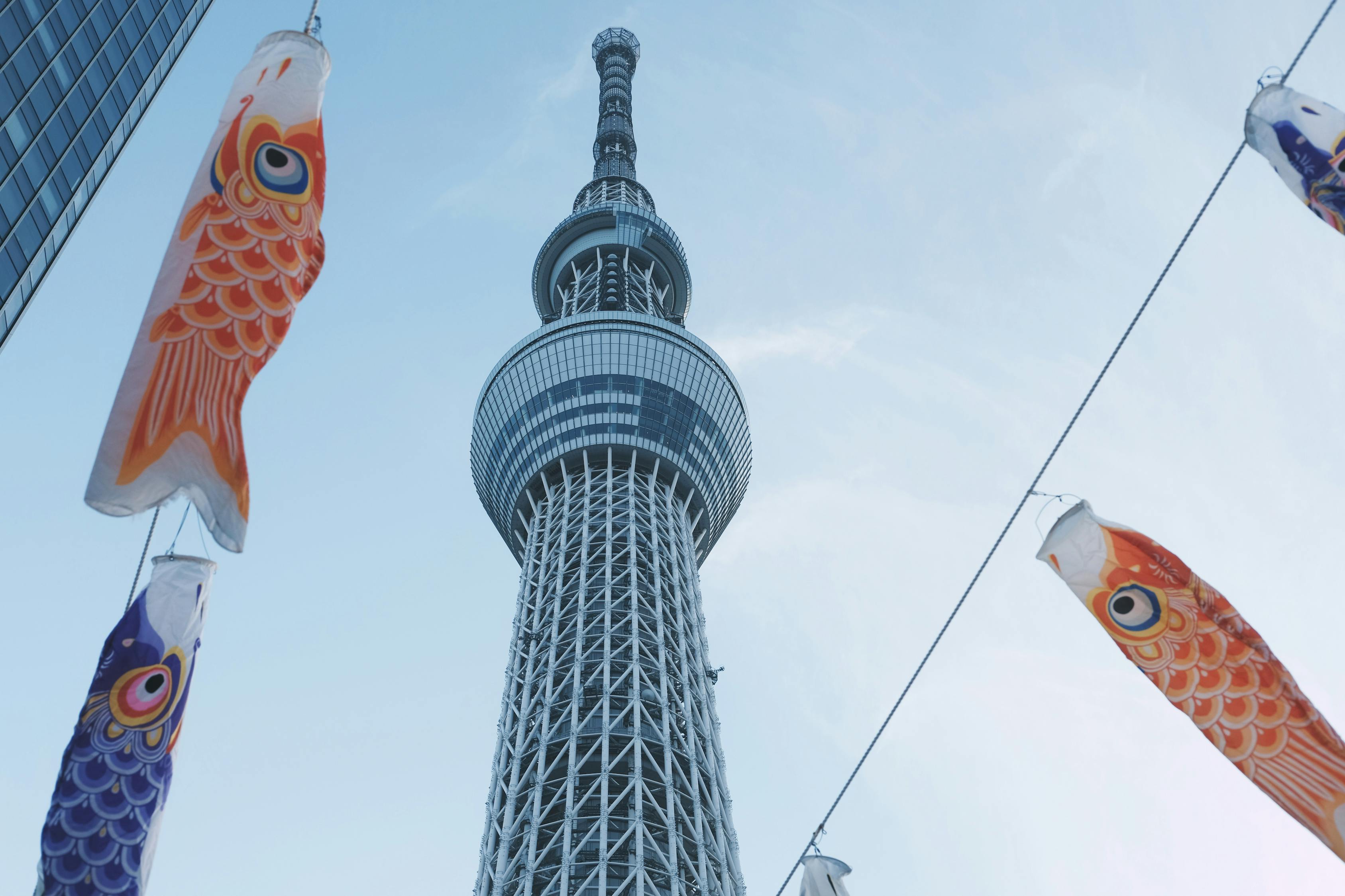 来日日最新网站，科技与文化交融的前沿新时代平台探索