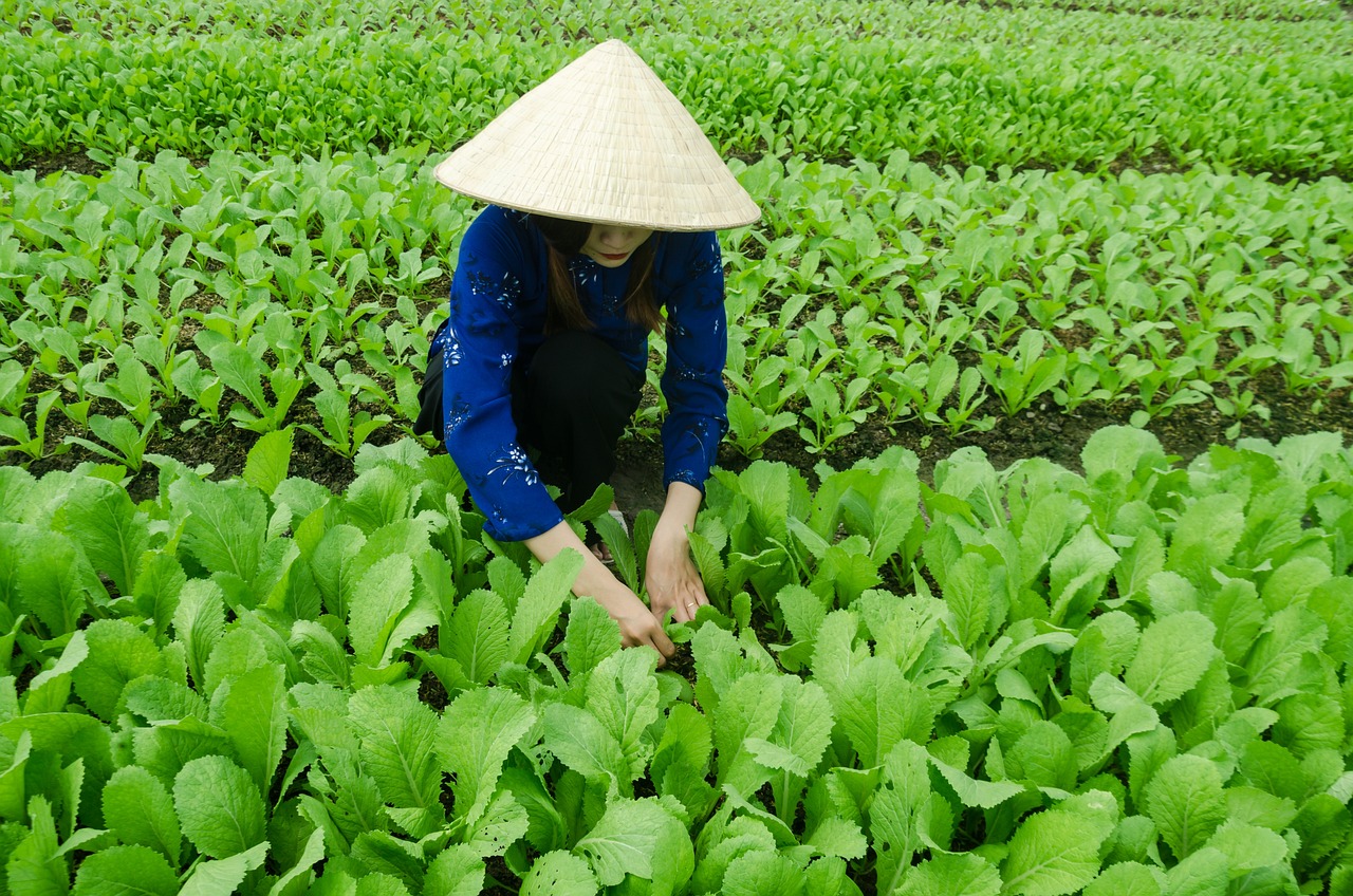 江南烟雨断桥殇 第8页