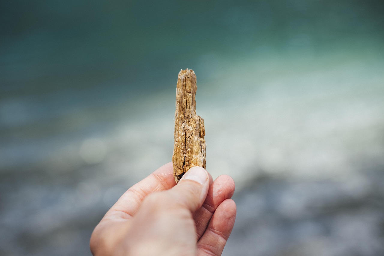 探索海洋之美，拾美海域最新动态与发现信息速递