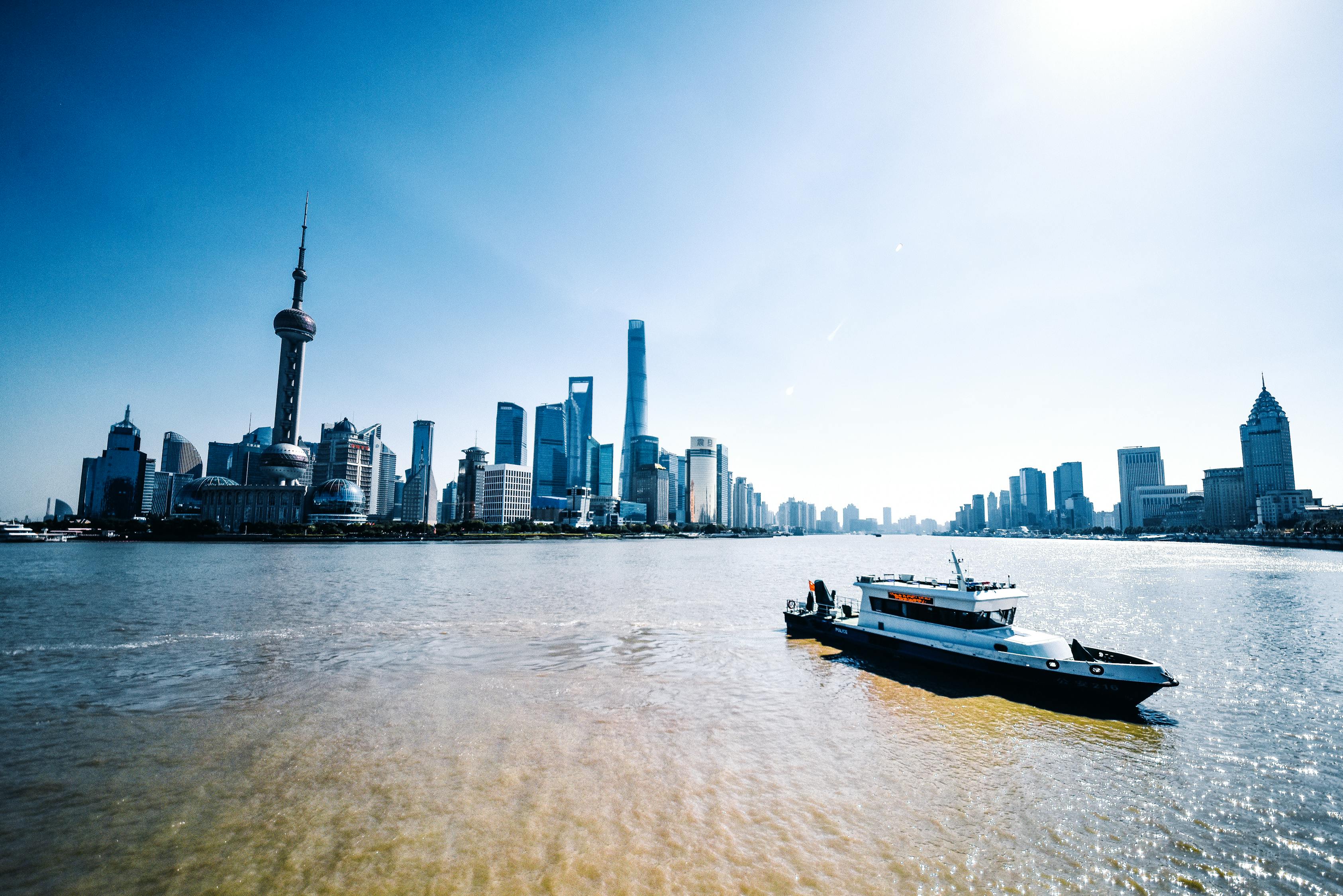 鱼师傅seele最新图，探索海洋美学的迷人魅力