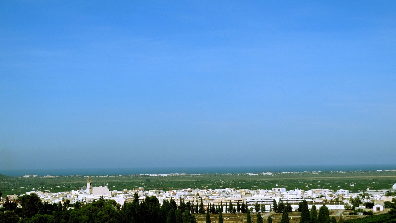乳山大姜最新价格及市场动态分析，市场趋势与价格动态概览
